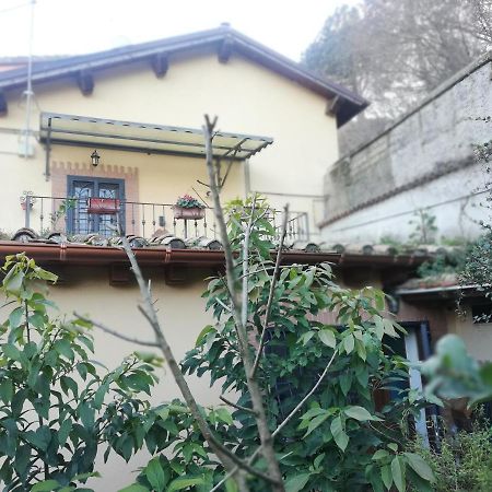 Villa Il Pettirosso Cesano Exterior foto
